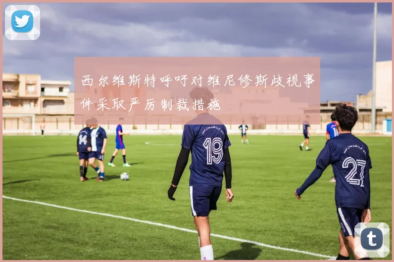 西尔维斯特呼吁对维尼修斯歧视事件采取严厉制裁措施