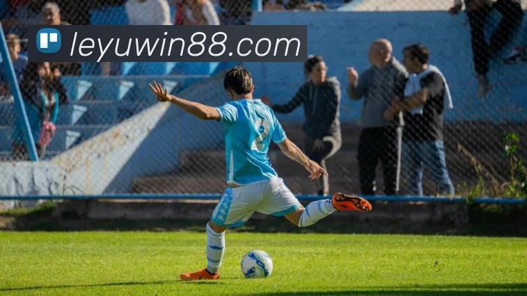 乐鱼体育APP 封面图